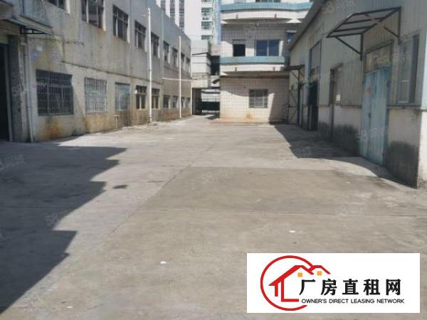  长安新出4300平方原房东独门独院厂房招租