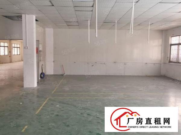  长安新出4300平方原房东独门独院厂房招租