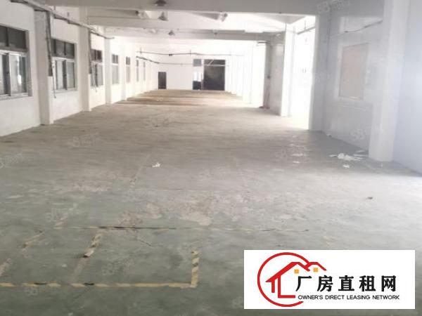 长安新出4300平方原房东独门独院厂房招租