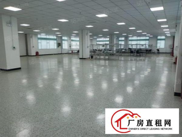  长安乌沙新出楼上1000平精装修厂房出租