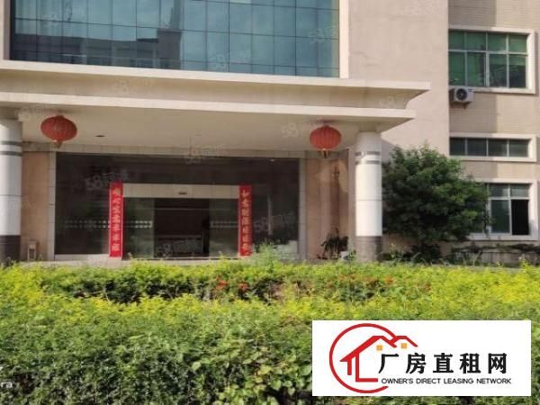  沙头原房东厂房出租，一楼1600，二楼500平