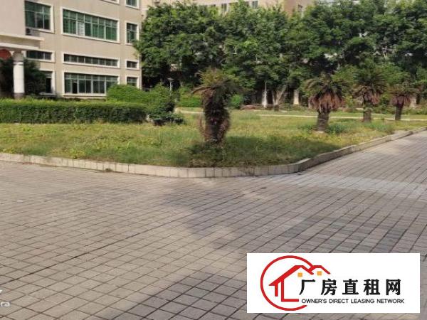  沙头原房东厂房出租，一楼1600，二楼500平