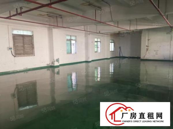  长安二楼全新地坪漆650平方精装厂房招租可分租