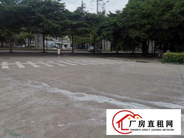  长安二楼全新地坪漆650平方精装厂房招租可分租