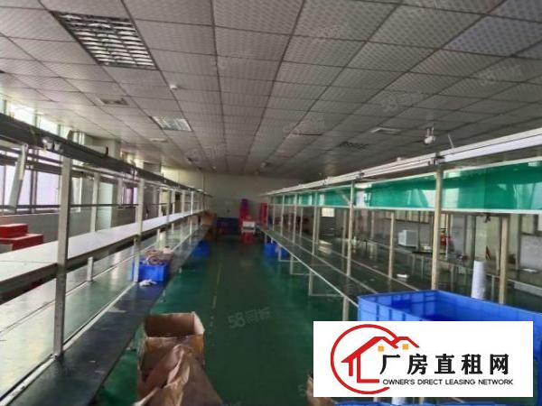  出租厂房新出长安沙头4楼上空出1400平方，拎包入驻