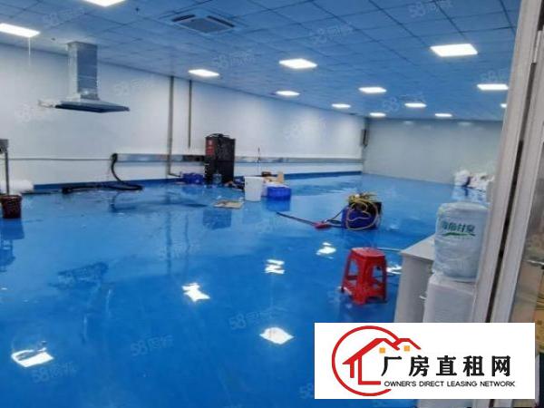  厦岗新出1280平方豪华装修厂房，可做无尘车间