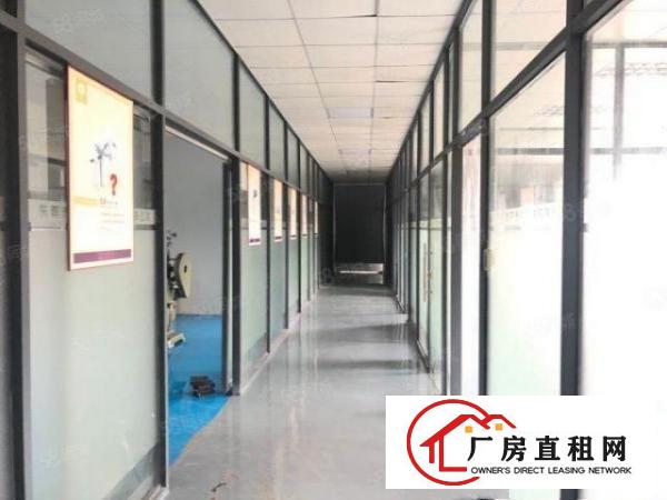 厦岗新出1280平方豪华装修厂房，可做无尘车间