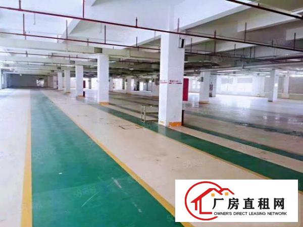  乌沙社区独院厂房出租16000平方交通便利好办理环评批文