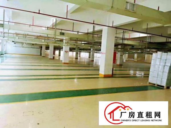  乌沙社区独院厂房出租16000平方交通便利好办理环评批文