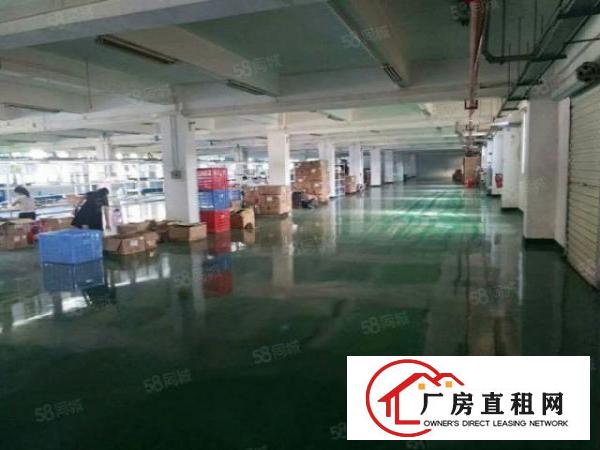  长安厦边新出工业园二楼980平方厂房出租，带办公室前台