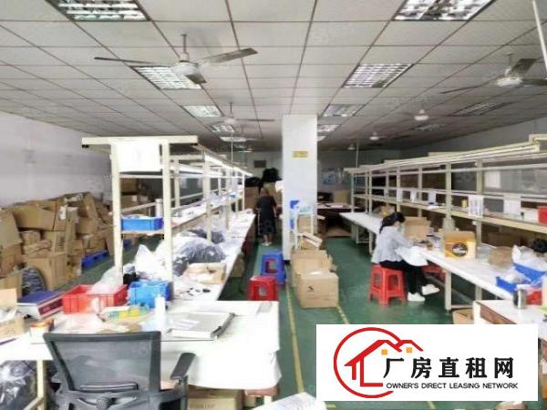  长安镇乌沙工业园原房东出租二楼1600平厂房豪华装修可分租