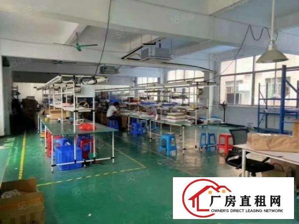  独院！长安独院3200平厂房出租带电梯装修办公室水电到位
