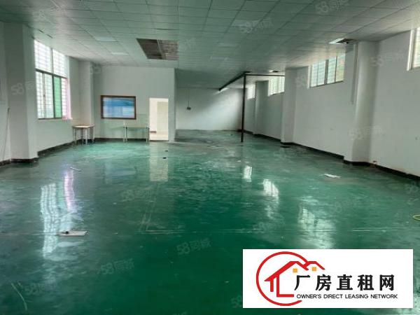  厦边新出一楼500方报25元，高度有5米，带装修，主线齐全