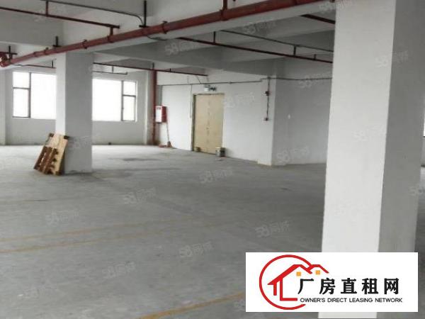  长安沙头社区1000平米标准一楼厂房带办公室豪华装修价格漂亮