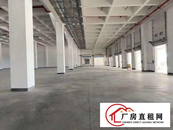  长安沙头社区1000平米标准一楼厂房带办公室豪华装修价格漂亮