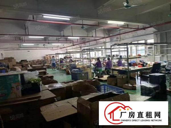  锦厦社区新出二楼1500平只租12块，豪华装修无转让费，
