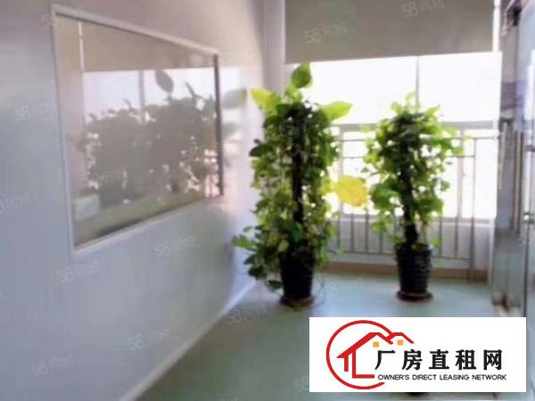  沙头楼上2200平方一层精装修