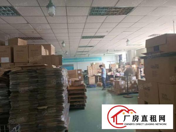  沙头楼上2200平方一层精装修