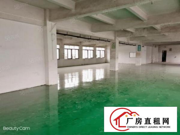  独院原房东双层2800平米，全新厂房，形象环境好，独门独院