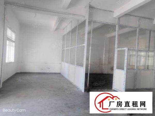  沙头经典独栋厂房出租1000平