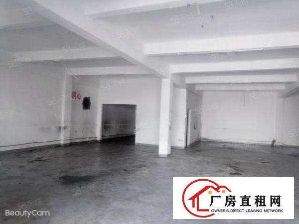  沙头经典独栋厂房出租1000平
