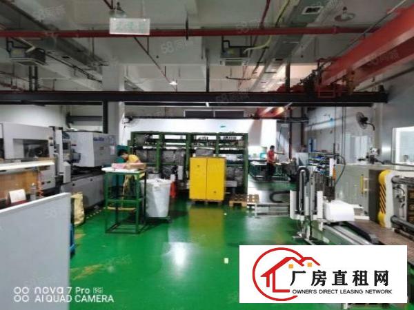  （原房东）长安镇沙头社区空出一楼2000平方无需转让费，