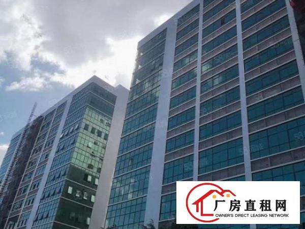  长安全新厂房，单层面积4000平招租，环境好，空间大