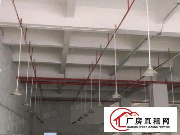  长安镇乌沙靠近新安大桥1楼2000平米重工业大小分租厂房招租