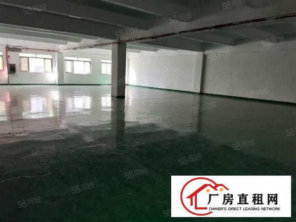  东莞正规氧化厂招租，可分租