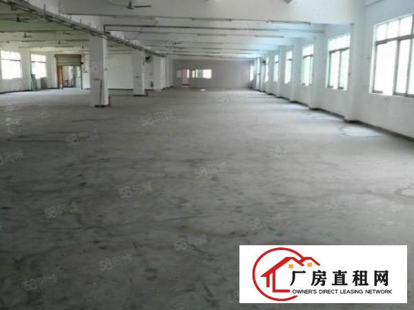  沙头新出一楼400平方带环评证厂房招租