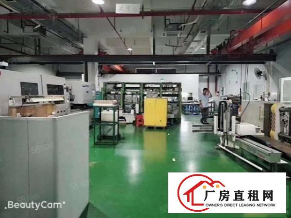  长安沙头原房东独院厂房分租1000平厂房出租电子五金
