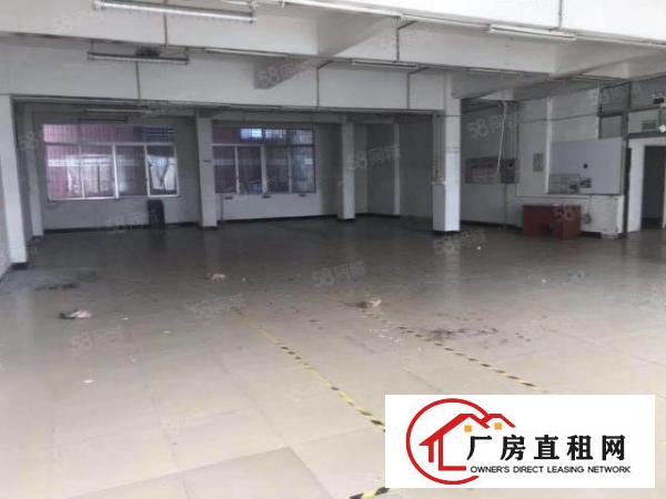  厦岗新出标准厂房，水电齐全