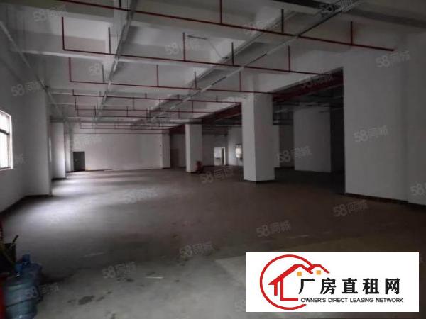  厦岗新出标准厂房，水电齐全
