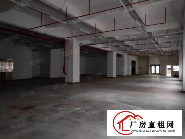  厦岗新出标准厂房，水电齐全