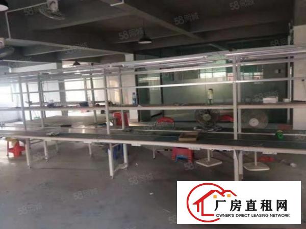  厦岗新出标准厂房，水电齐全