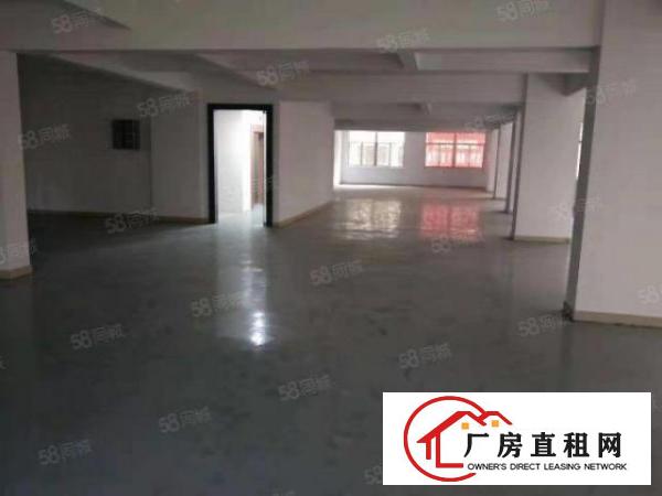  厦岗新出标准厂房，水电齐全