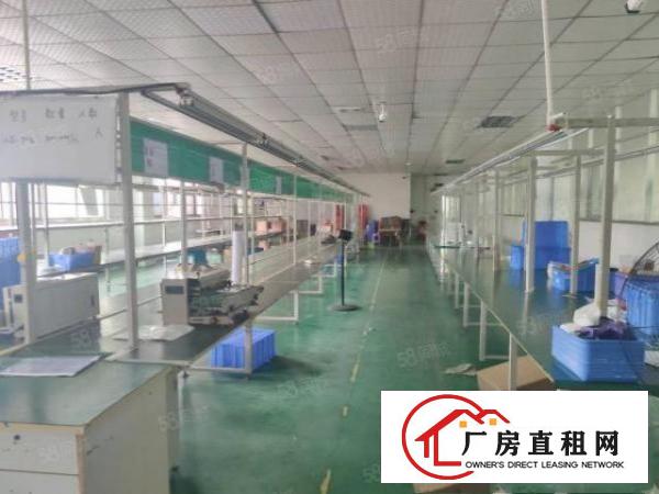  沙头南区楼上整层1400平方精装修厂房出租