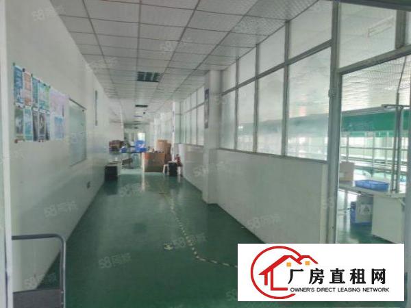  沙头南区楼上整层1400平方精装修厂房出租