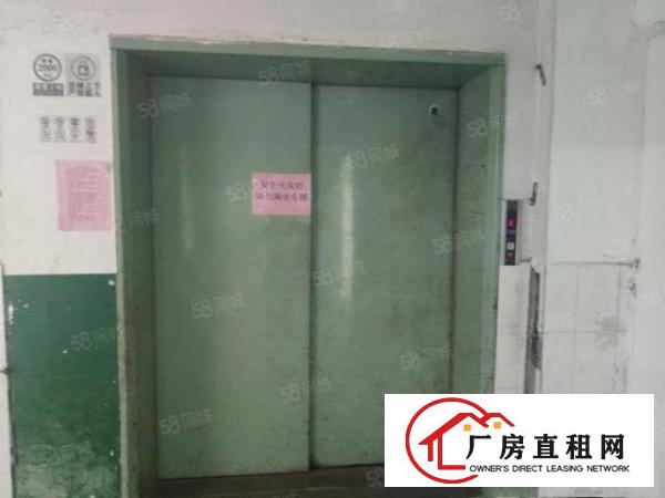  沙头南区楼上整层1400平方精装修厂房出租