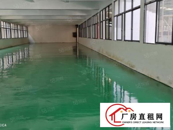  经典小独院，可环评，依山伴水。