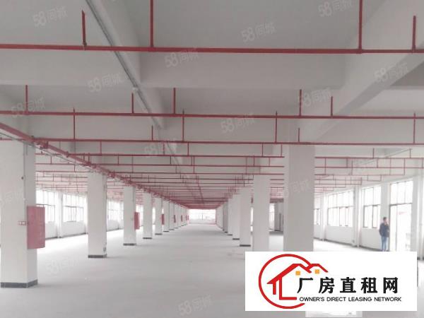  佛山容桂污染行业工业园形象好可分租不限行业价格低
