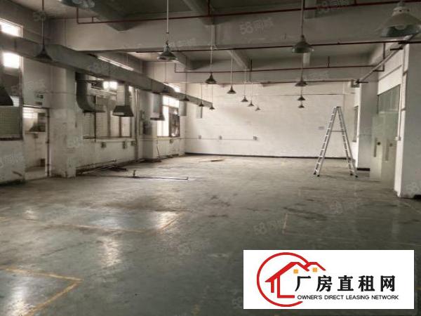  乌沙oppo附近一楼500平8千打包，水电另算，高5.5米