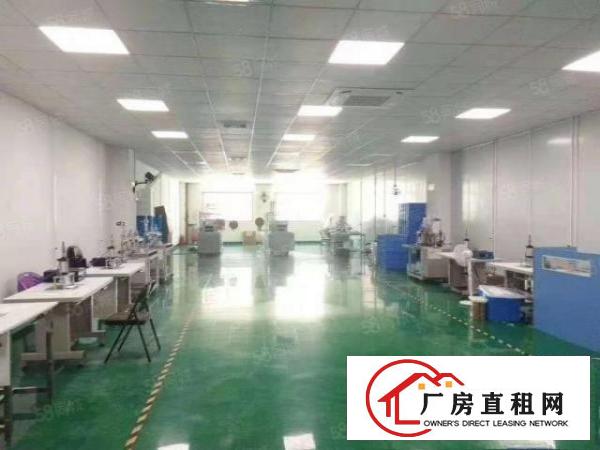  长安沿江高速附新出洁净厂房900平精装修