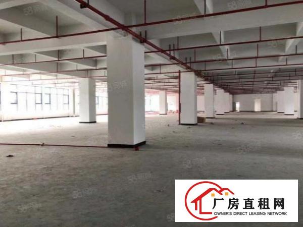 长安乌沙新出一楼4600平带牛角重工业厂房出租分租
