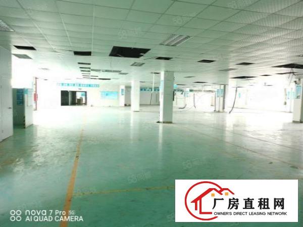  长安厦边原房东独门独院8900平方厂房实际面积出租！
