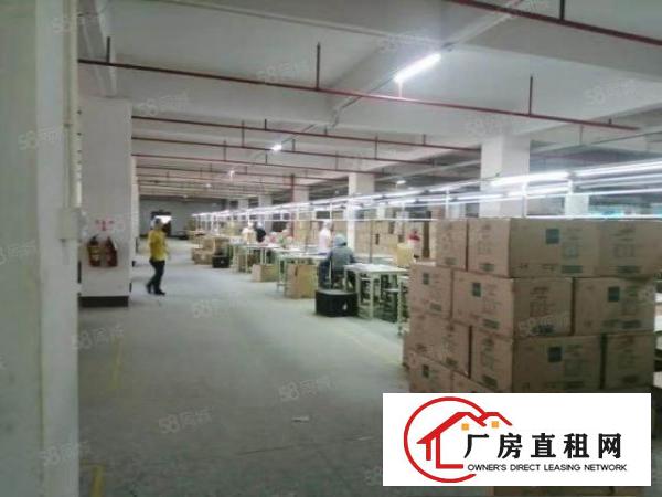  长安靠深圳交界原房东小独院4500平，可整租可分租，实际面积