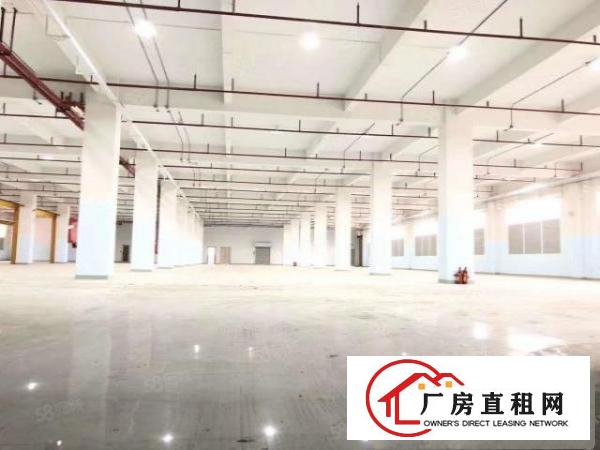  长安靠深圳交界原房东小独院4500平，可整租可分租，实际面积