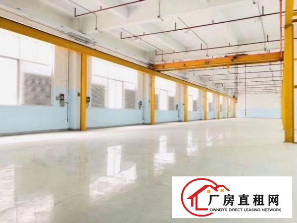  长安靠深圳交界原房东小独院4500平，可整租可分租，实际面积