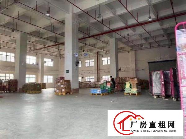  长安靠深圳交界原房东小独院4500平，可整租可分租，实际面积