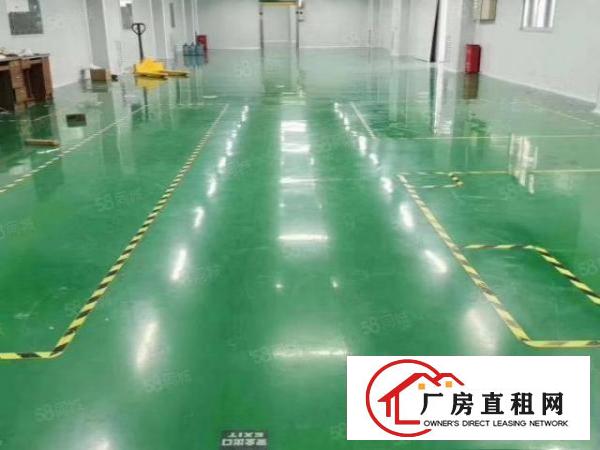  长安靠深圳交界原房东小独院4500平，可整租可分租，实际面积